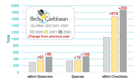 Graph showing Global Big Day 2020, 2021, and 2022 comparisons