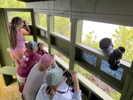 Participants identify waterbirds at Sandy Point bird blind.