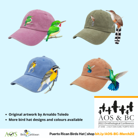 Image showcasing AOS-BC Conference hats.