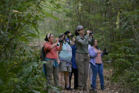 Participants in the Landbird Monitoring Workshop look for birds in the forest.