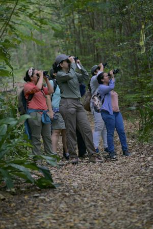 Participants in the Landbird Monitoring Workshop look for birds in the forest.