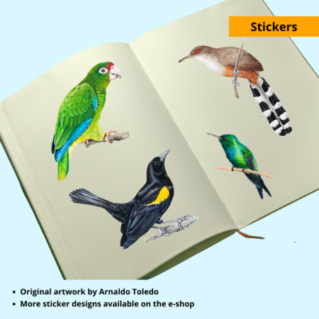 Endemic Birds of Puerto Rico Stickers