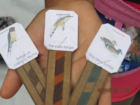 Students play bird-themed games as part of outdoor CEBF activities in Cuba.