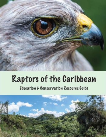 Cover of the new Raptors of the Caribbean Education & Conservation Resource Guide.