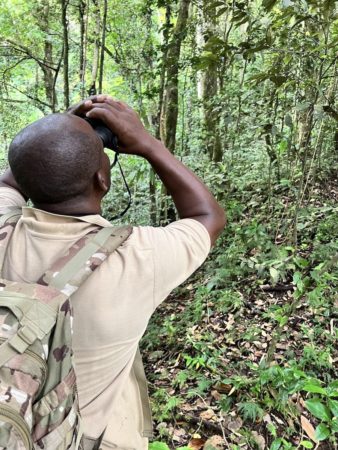 Glenroy Gaymes conducting the PROALAS point count in the field.