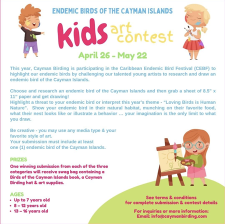 Kids Art Contest Flyer, Cayman Islands.