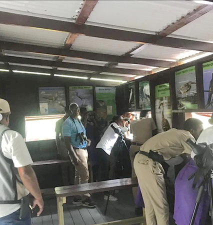 Students and teachers birdwatching from a bird hide in Jamaica.