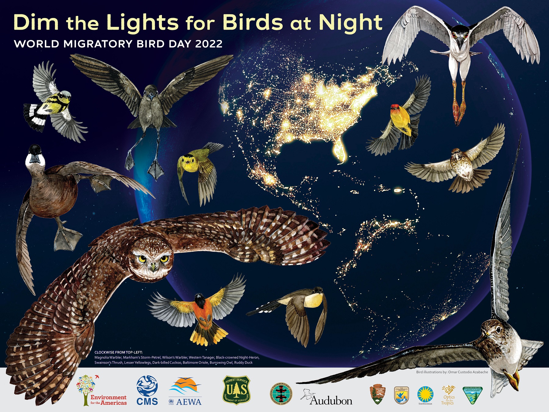 Get Ready to Celebrate World Migratory Bird Day 2022- Dim the Lights for  Birds at Night! – BirdsCaribbean