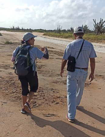 Two field volunteers- a man and a woman, walking across a lagoon on Margarita Island, Venezuela.