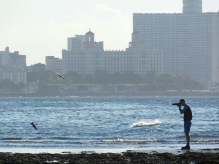 Photographer taking a photo of birds on the shoreline