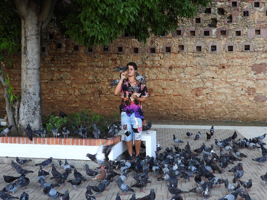 Local Feeding Pigeons in Old San Juan by Christina Kolbmann.