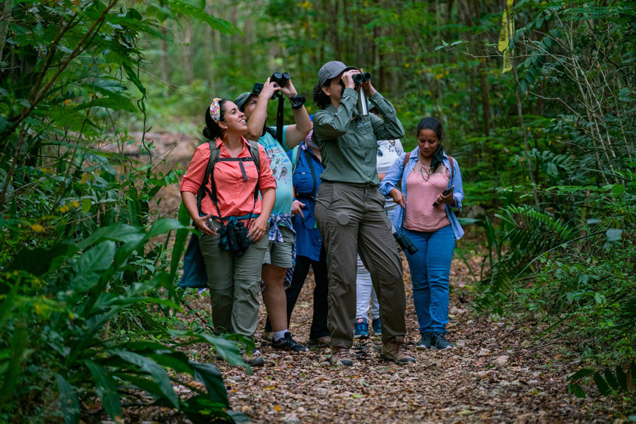 Birdwatchers practicing PROALAS bird surveys by Holly Garrod.