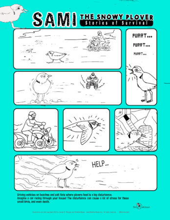 Page 3 of the graphic novel depicting an ATV being driven across the beach and causing stress to Sami the Snowy Plover.