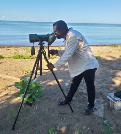 Birder looking for shorebirds in Jamaica