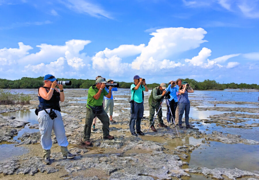 Group of birders