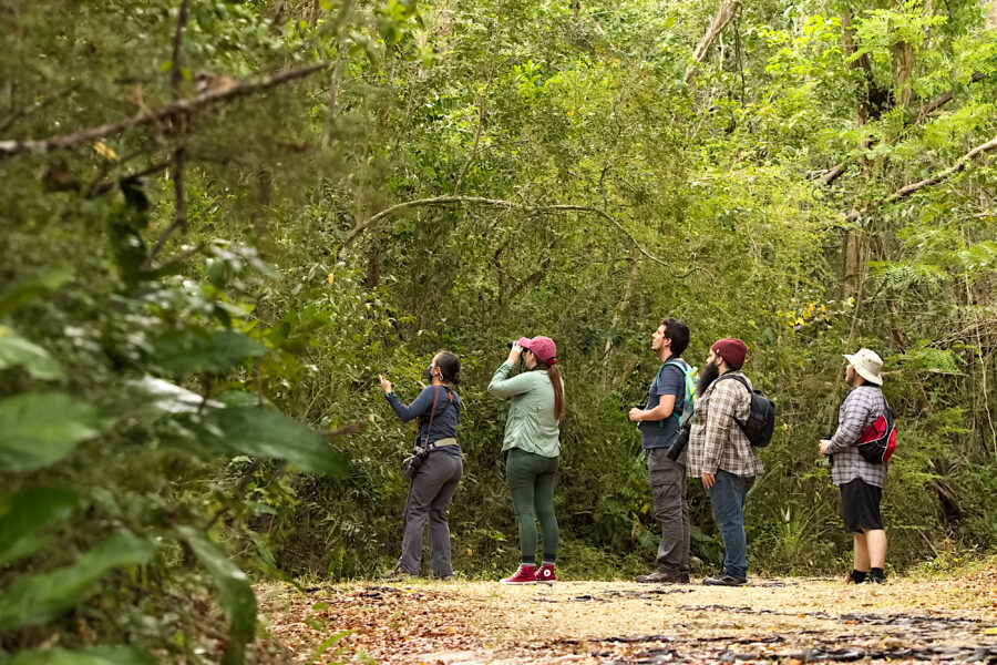 A group of bird watchers