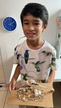 Boy holding a model of a Wilson's Plover at a nest
