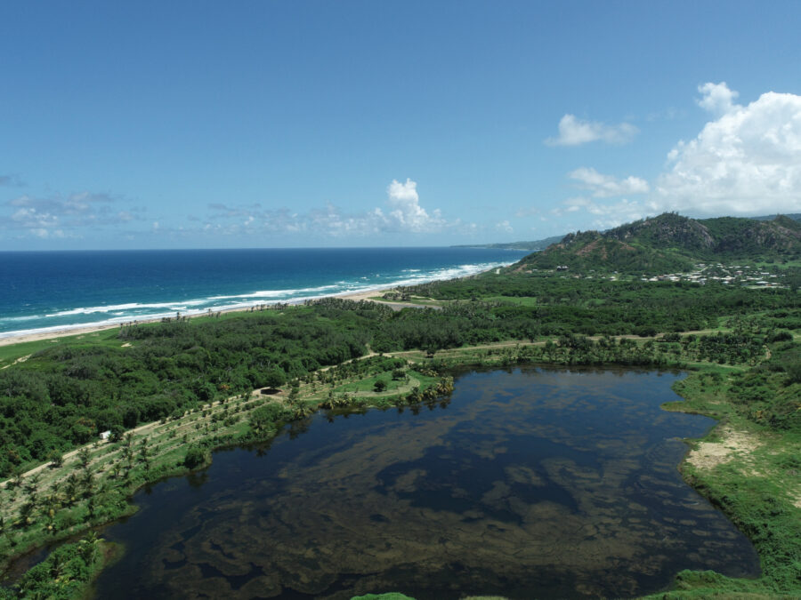 Drone image of Walkers Reserve, Barbados looking across wetlands out to sea