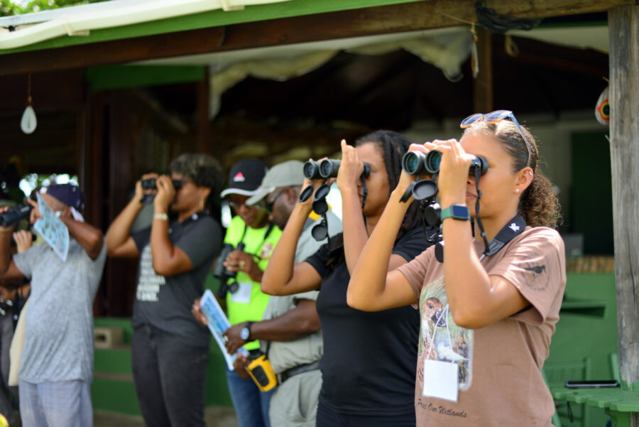 Group watching birds through binoculars