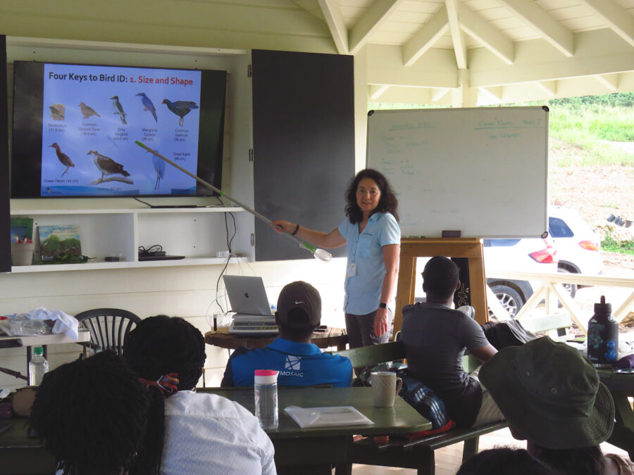 Lecture on bird ID