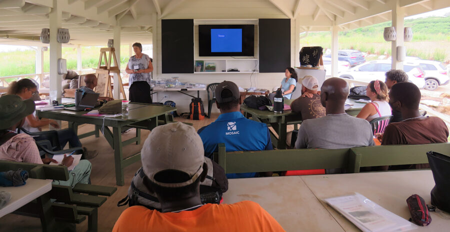 The group at Walkers Reserve learn about different types of wetlands.