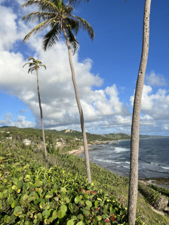 View across beach at Bathsheba Barbados