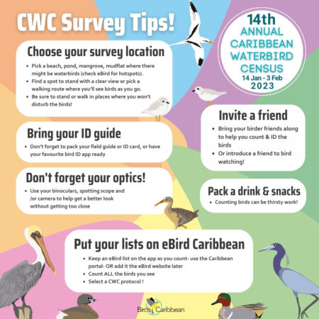 CWC survey tips infographic