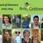 Photos of new and returning members of BirdsCaribbean Board 2-2023-2024