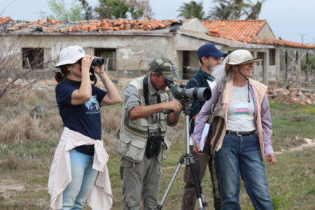 Birders doing a survey