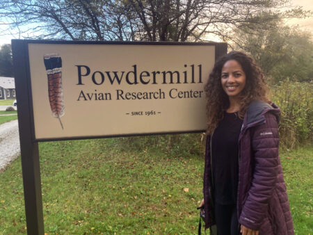 Dayamiris at Powdermill