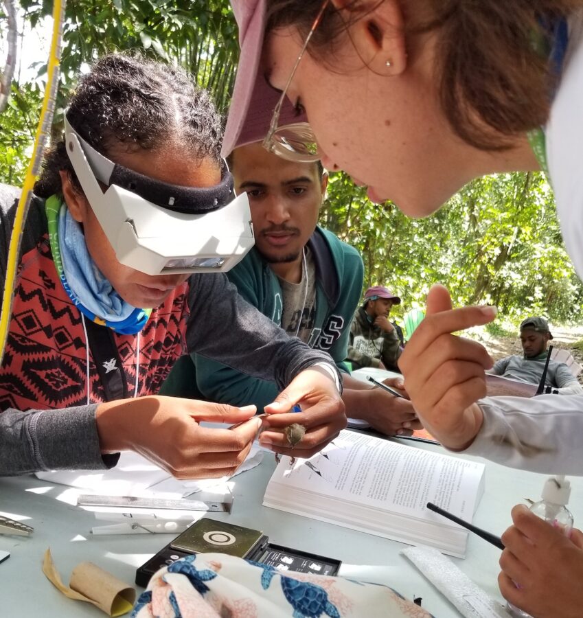 A group observes a bird banding demonstration.