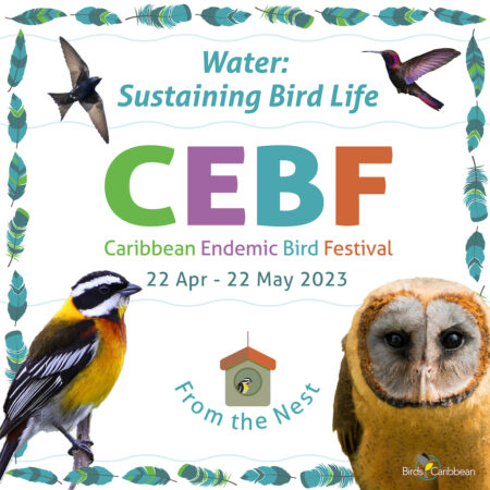 CEBF promo graphic 2023 with theme Water: Sustaining Bird Life