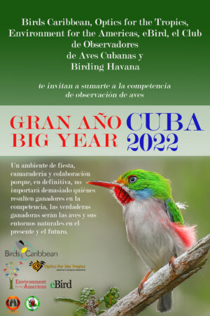 Partner News – BirdsCaribbean