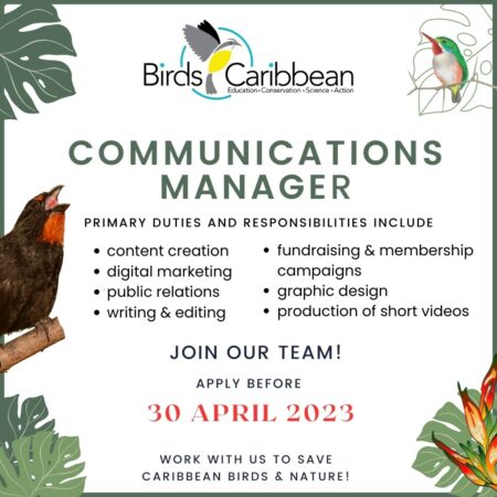 Communications Manager Job Promo Graphic