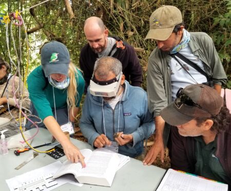 A group discusses bird molt at the banding table