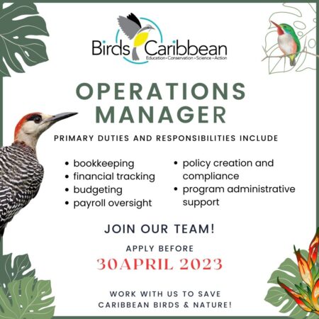 Operations Manager website graphic