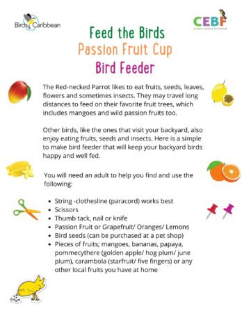 Can Parrots Eat Plums? Discover the Power of This Delicious Fruit!