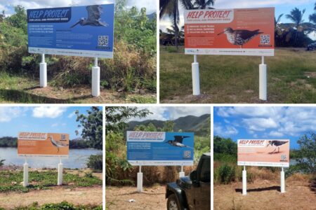 five shorebird signs