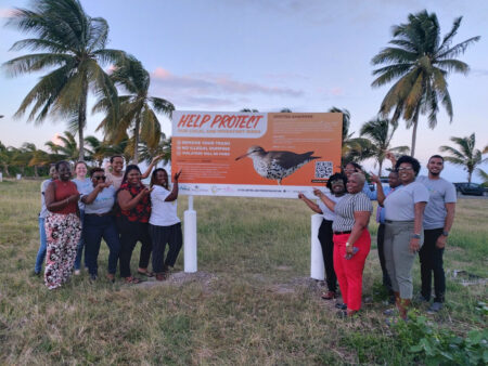 Shorebird Sign featuring a Spotted Sandpiper with a group of people 