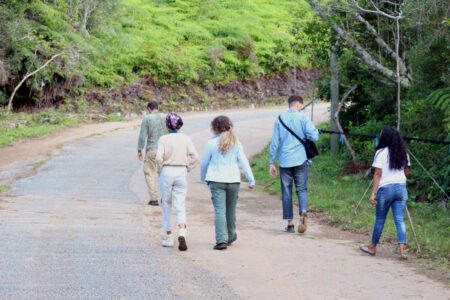 Group walks a long a road to open mist nets