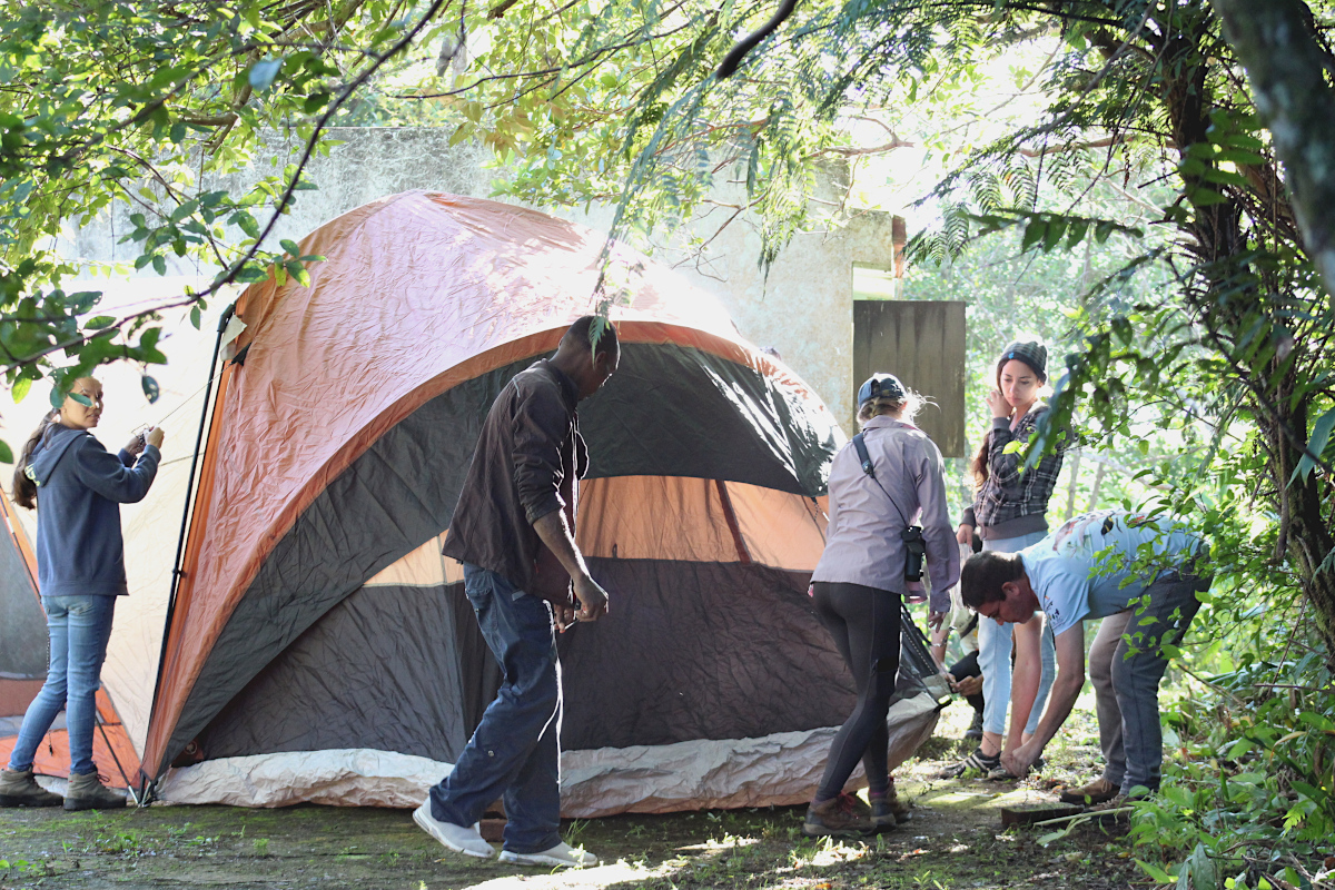 Tent as a Temporary Banding Station