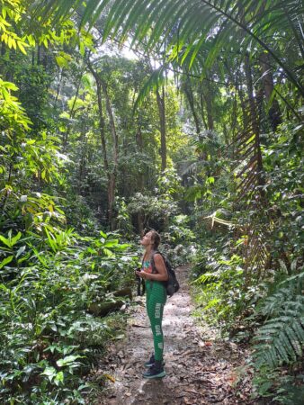 Alex Chenery looking at a Plain Antivireo in the Main Ridge Forest Reserve on Tobago.