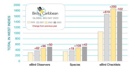 Bar graph showing changes in eBirders, species seen, lists submitted during Global big day in the West Indies