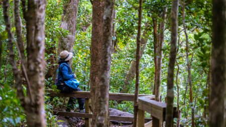 A client enjoying the quiet of the rain-forest in St Lucia.