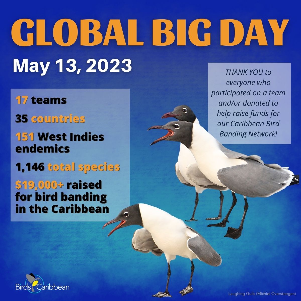 Global Big Day 2023 Another Win for Bird Conservation in the West