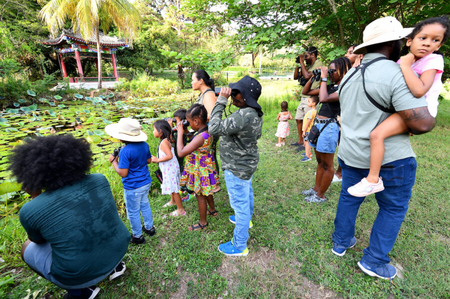 Photo of adults and children birdwatching by a pond.