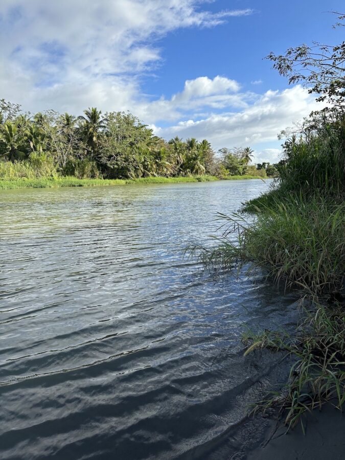 The Anasco River in Puerto Rico provides a home to species like the West Indian Whistling-Duck and it is a source of fresh water on the island.