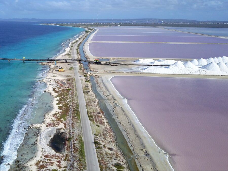 The world famous Bonaire salt ponds support large numbers of many species of migratory shorebirds, including the Semipalmated Sandpiper, Least Sandpiper, Stilt Sandpiper, Semipalmated Plover, and Sanderling.