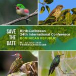 Mark Your Calendars! The BirdsCaribbean 24th International Conference is scheduled to take place in Santo Domingo from 18th to 22nd July, 2024.