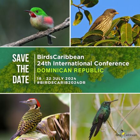 BirdsCaribbean 2024 Conference promo graphic. Featured birds: Broad-billed Tody by Dax Roman; Palmchat, Hispaniolan Woodpecker by Jose M Pantaleon; Hispaniolan Emerald by Dax Roman E.